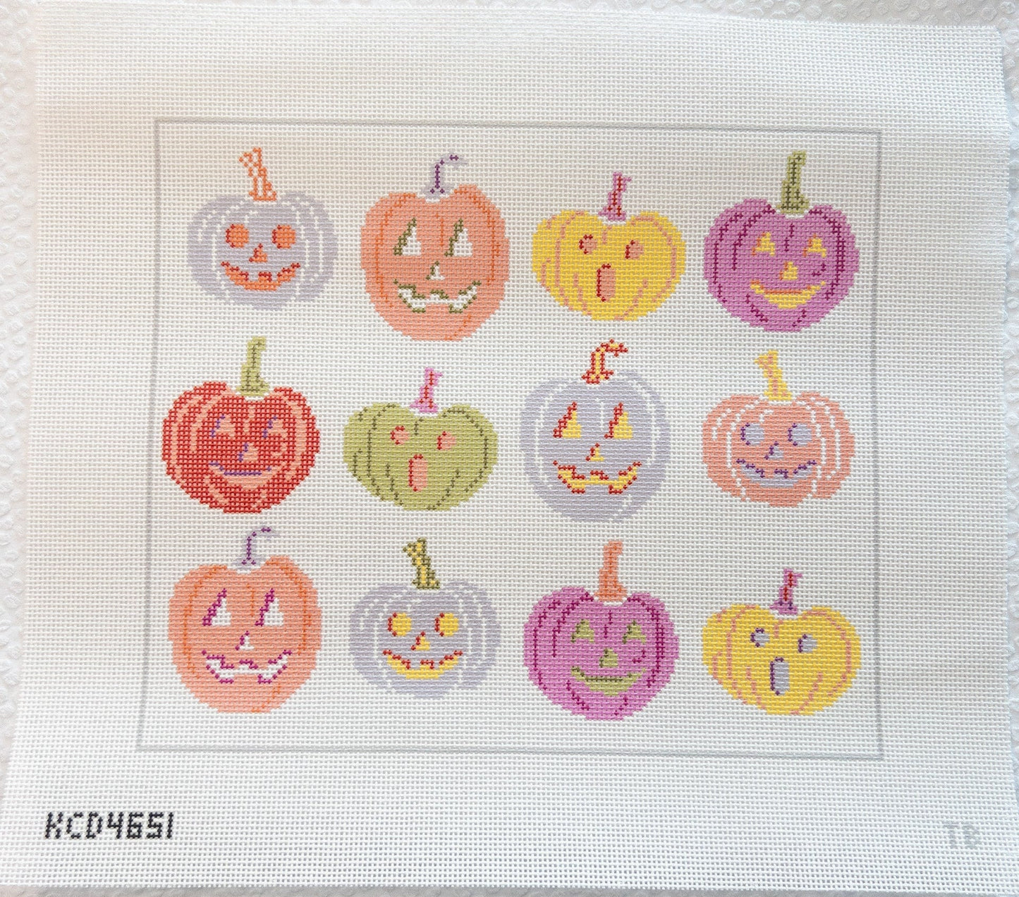 12 Pumpkins Needlepoint Canvas - Summertide Stitchery - Taylor Beach Design