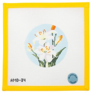 lily flower in bible Bible Flowers: Lily of the Field