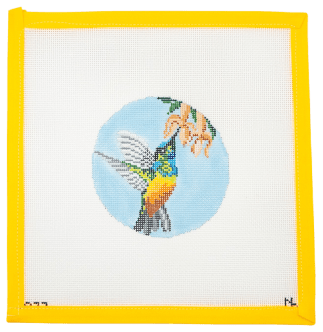 Golden Bellied Starfrontlet Hummingbird Needlepoint Canvas - Summertide Stitchery - Needle Crossings