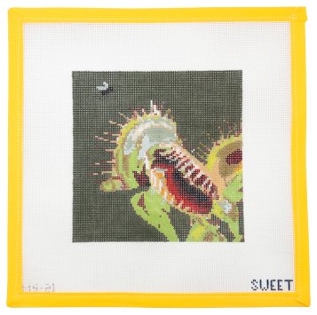 Venus Fly Trap Needlepoint Canvas - Summertide Stitchery - Maddie Sweet Designs